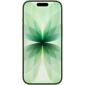 Apple iPhone 17 512GB Sage (MG6V4) — изображение 2
